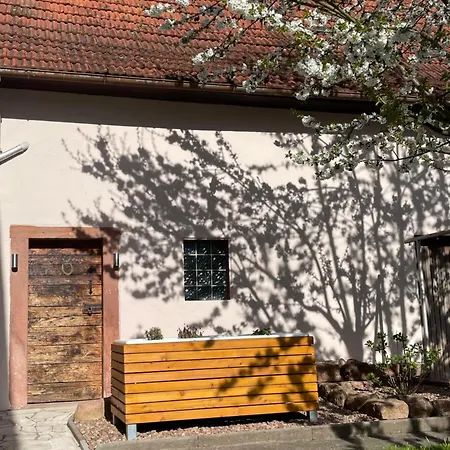 Ferien Im Zickzackgaesschen * Momlingen