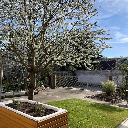 Ferien Im Zickzackgaesschen Apartman Momlingen